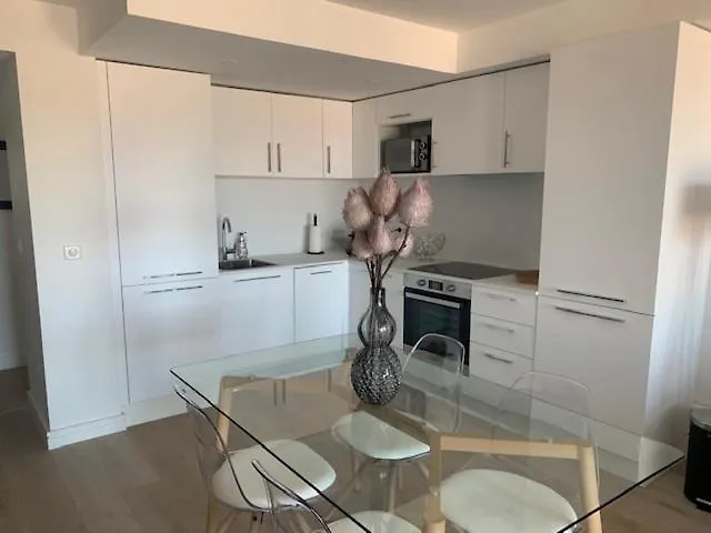 Les Volets Bleus Apartment Nice France